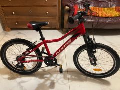 Kross Level Mini 2.0