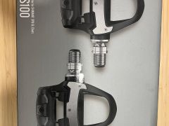 Garmin Rally Rs100