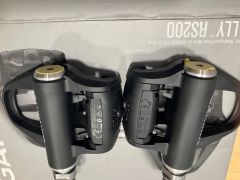 Garmin Rally Rs200