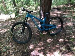 Propain tyee al 5 2024