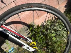 Wilier GTR Team