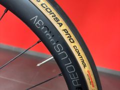 Trek Domane SL7