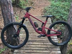 Santa Cruz 5010 C V4