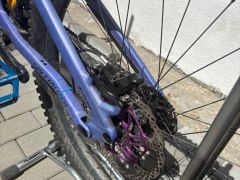 Specialized demo