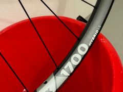 DT Swiss Hx1700 LS 29" Shimano MicroSpline