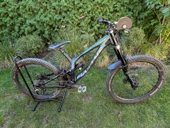 Kellys noid 90 2024 M