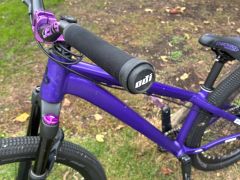 Dirtking expert 2025 custom