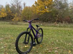 Dirtking expert 2025 custom