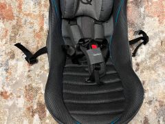 Miminkovník Queridoo