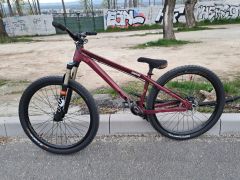 Ctm Dirtking Custom