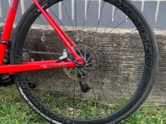 Rose Pro SL Hydro 55