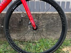 Rose Pro SL Hydro 55