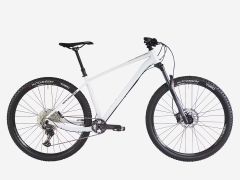 Rockrider hartail am 100