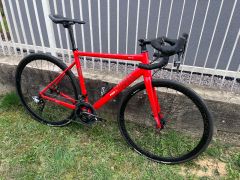 Rose Pro SL Hydro 55