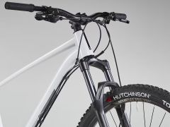 Rockrider hartail am 100