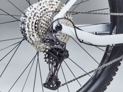 Rockrider hartail am 100