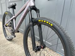 CTM Dirtking Xpert 2023