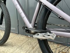 CTM Dirtking Xpert 2023