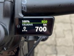 Trek Rail + 8 M 2025