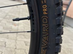 Trek Rail + 8 M 2025