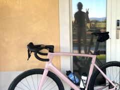 Specialized SL7 expert