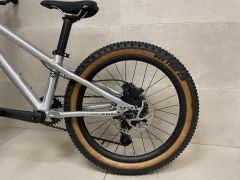 Early Rider Hellion 20"