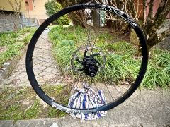 Mullet sada koliest DT Swiss 29/27,5