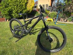 Specialized Stumpjumper EVO LTD