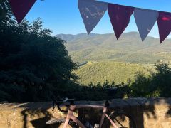 Specialized SL7 expert vel.61