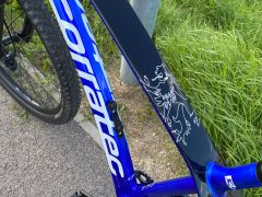 Corratec Revo Bow SL Pro