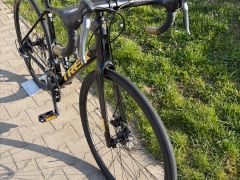 Trek Domane AL2 (gen3)