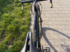 Trek Domane AL2 (gen3)