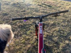 Commencal meta AM 4.2 team