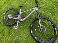 Forbidden Druid V1 L Mullet