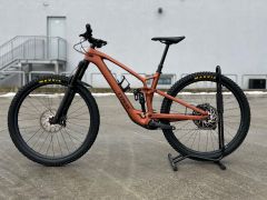 Trek Fuel Exe
