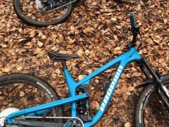 Propain tyee al 5 2024