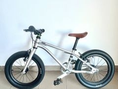 Early Rider Belter 16