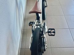 Early Rider Belter 16