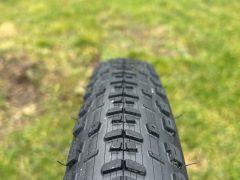 Bontrager Sainte-Anne 29x2.4