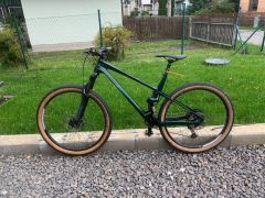 Predam Sunn Shamann 2023