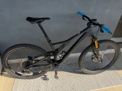 S-Works Stumpjumper 29 carbon