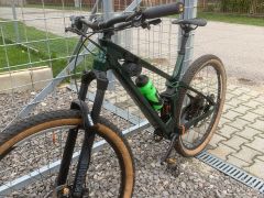 Predam Sunn Shamann 2023