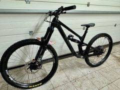 Canyon Torque Mullet CF 8