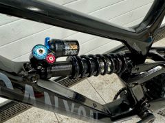 Canyon Torque Mullet CF 8