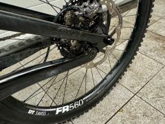 Canyon Torque Mullet CF 8