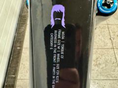 Canyon Torque Mullet CF 8