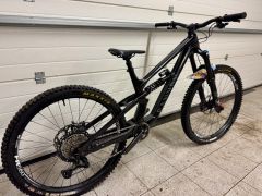 Canyon Torque Mullet CF 8