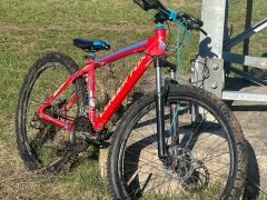 Leader fox / bmx scool