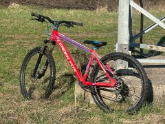 Leader fox / bmx scool