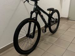 Ctm dirtking xpert 2020